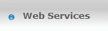 Web Services